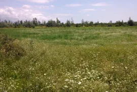 Продается Земля, Сельскохозяйственные, Martkopi