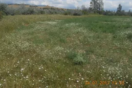 Продается Земля, Сельскохозяйственные, Martkopi