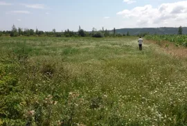 Продается Земля, Сельскохозяйственные, Martkopi