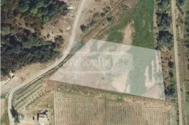 Продается Земля, Сельскохозяйственные, Martkopi