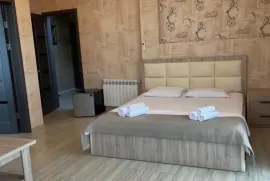 ქირავდება სახლი, 10 ოთახიანი, თბილისი, ივერთუბანი