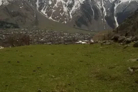 იყიდება მიწის ნაკვეთი