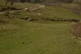 იყიდება მიწის ნაკვეთი