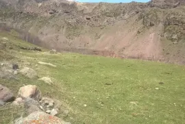 იყიდება მიწის ნაკვეთი