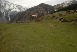 იყიდება მიწის ნაკვეთი