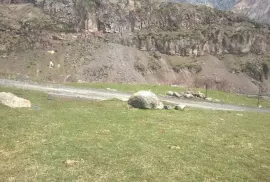 იყიდება მიწის ნაკვეთი