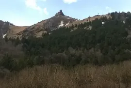 იყიდება მიწის ნაკვეთი