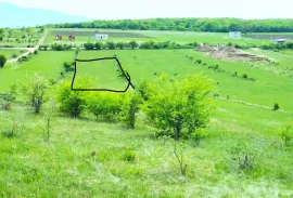 იყიდება მიწის ნაკვეთი, სასოფლო - სამეურნეო, ახატანი