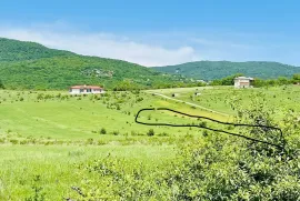 იყიდება მიწის ნაკვეთი, სასოფლო - სამეურნეო, ახატანი