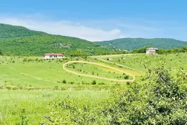 იყიდება მიწის ნაკვეთი, სასოფლო - სამეურნეო, ახატანი