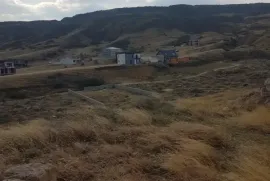 იყიდება მიწის ნაკვეთი, სასოფლო - სამეურნეო, დიდი დიღომი