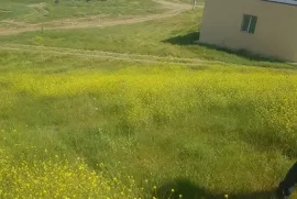 Продается Земля, Сельскохозяйственные, Диди Дигоми