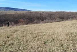 Land For Sale, Agricultural, Norio 