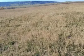 Land For Sale, Agricultural, Norio 