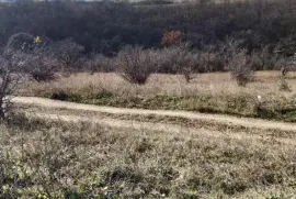 Land For Sale, Agricultural, Norio 