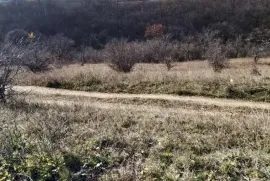 Land For Sale, Agricultural, Norio 