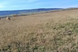 Land For Sale, Agricultural, Norio 