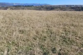 Land For Sale, Agricultural, Norio 