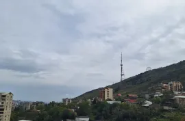 Аренда, 1 Kомнатная, Новостройка, Тбилиси, vake