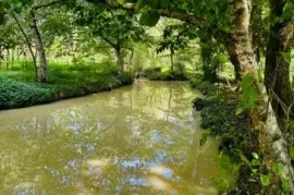 Продается Земля, Сельскохозяйственные, Озургети