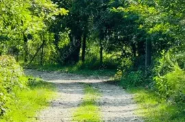 Продается Земля, Сельскохозяйственные, Озургети