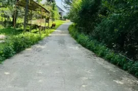 Продается Земля, Сельскохозяйственные, Озургети