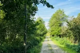 Продается Земля, Сельскохозяйственные, Озургети