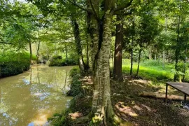 Продается Земля, Сельскохозяйственные, Озургети