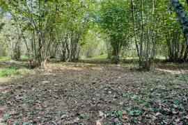 Продается Земля, Сельскохозяйственные, Озургети