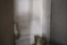 იყიდება ბინა, 4 ოთახიანი, ახალი აშენებული, ბათუმი