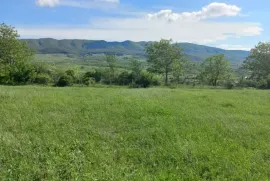 Land For Sale, Agricultural, Galavani