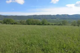 Land For Sale, Agricultural, Galavani