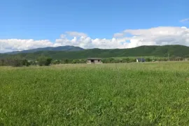 Land For Sale, Agricultural, Galavani