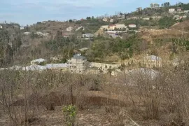 Продается Земля, Сельскохозяйственные, Todogauri