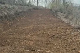 Продается Земля, Сельскохозяйственные, Todogauri