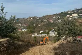 Продается Земля, Сельскохозяйственные, Todogauri