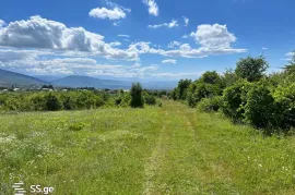 Land For Sale, Agricultural, Tsinamdzghvriantkari