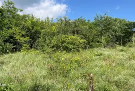 Land For Sale, Agricultural, Tsinamdzghvriantkari