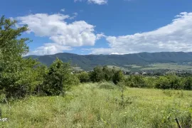 Land For Sale, Agricultural, Tsinamdzghvriantkari