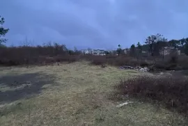 იყიდება მიწის ნაკვეთი, საინვესტიციო, შრომა