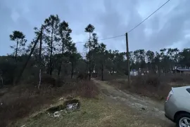 იყიდება მიწის ნაკვეთი, საინვესტიციო, შრომა