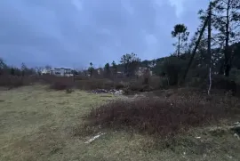 იყიდება მიწის ნაკვეთი, საინვესტიციო, შრომა