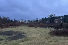 იყიდება მიწის ნაკვეთი, საინვესტიციო, შრომა