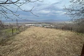 Land For Sale, Agricultural, Tserovani