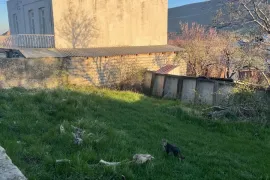 Land For Sale, Non Agricultural, Digomi village