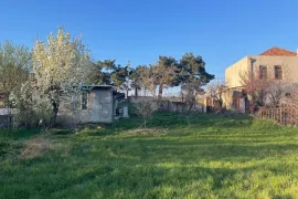 Land For Sale, Non Agricultural, Digomi village