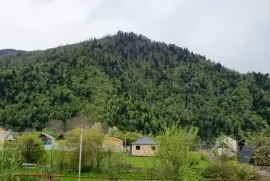 იყიდება სახლი, 3 ოთახიანი, ბორჯომი, სადგერი