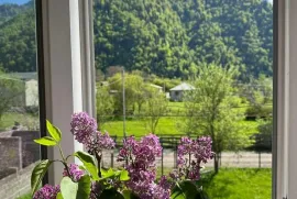 იყიდება სახლი, 3 ოთახიანი, ბორჯომი, სადგერი