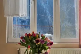 იყიდება სახლი, 3 ოთახიანი, ბორჯომი, სადგერი