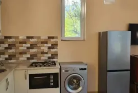 იყიდება სახლი, 3 ოთახიანი, ბორჯომი, სადგერი